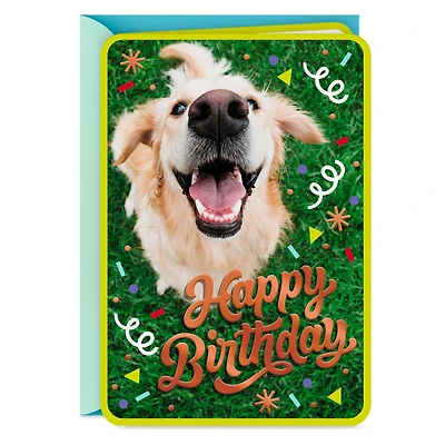 Doggone Happiness Birthday Card for only USD 2.99 | Hallmark