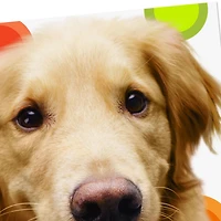 Golden Retriever Heal Get Well Card for only USD 3.99 | Hallmark