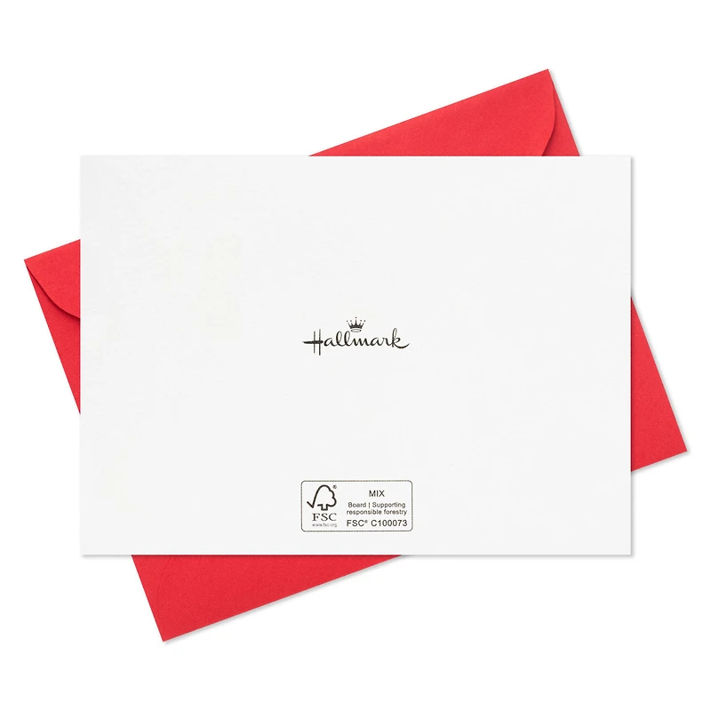 Cardinals in Snow Blank Thank-You Cards, Pack of 20 for only USD 10.99 | Hallmark