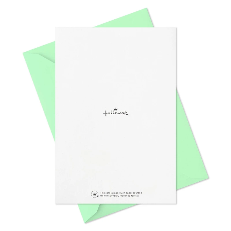 Bright Pastel Plaid Blank Note Cards, Pack of 5 for only USD 5.00 | Hallmark