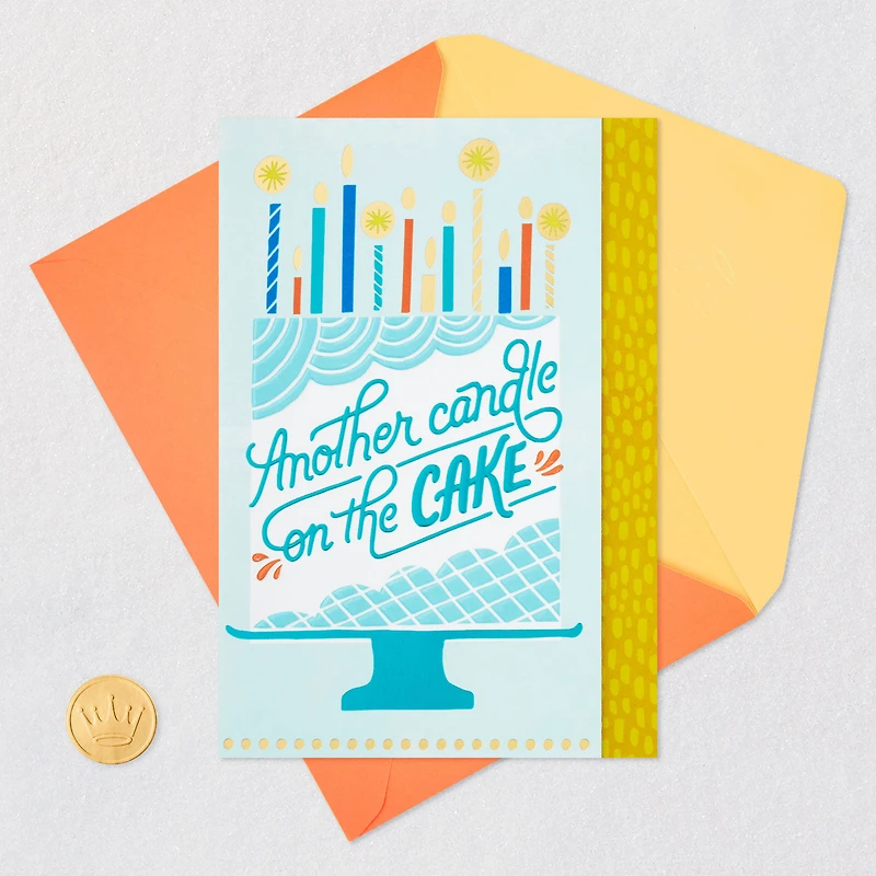 Another Candle on the Cake Birthday Card for only USD 4.59 | Hallmark