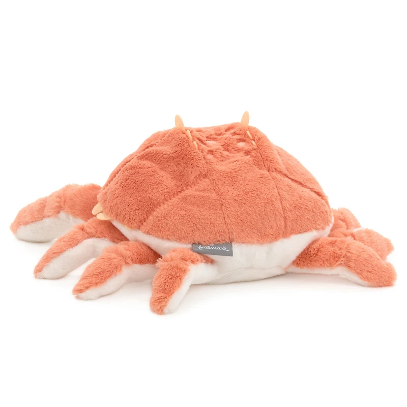 Orange Crab Plush, 12.75" W for only USD 18.99 | Hallmark