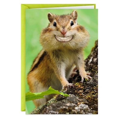 Grinning Chipmunk Funny Congratulations Card for only USD 3.99 | Hallmark
