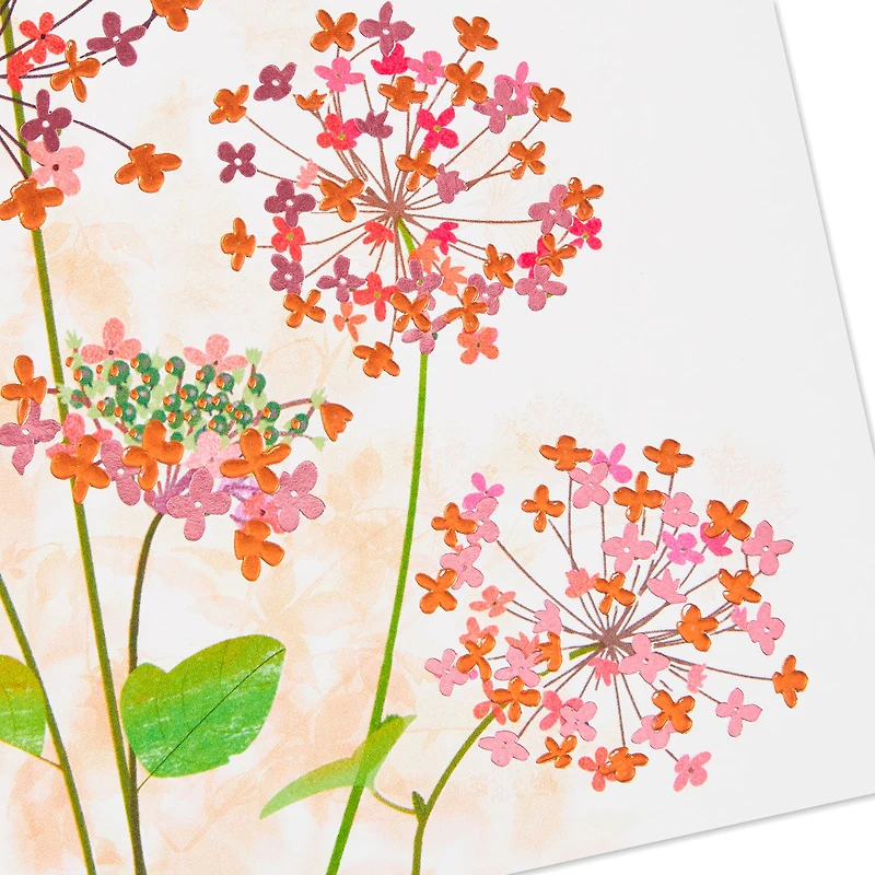 You Amaze Me Birthday Card for Daughter for only USD 5.59 | Hallmark