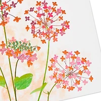 You Amaze Me Birthday Card for Daughter for only USD 5.59 | Hallmark