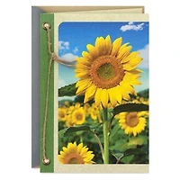 Field of Sunflowers Blank Card for only USD 4.59 | Hallmark