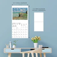 Graphique 2026 Claude Monet 16-Month Calendar for only USD 15.99 | Hallmark