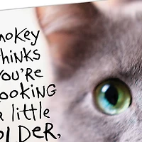 Pessimistic Cat Funny Birthday Card for only USD 3.99 | Hallmark
