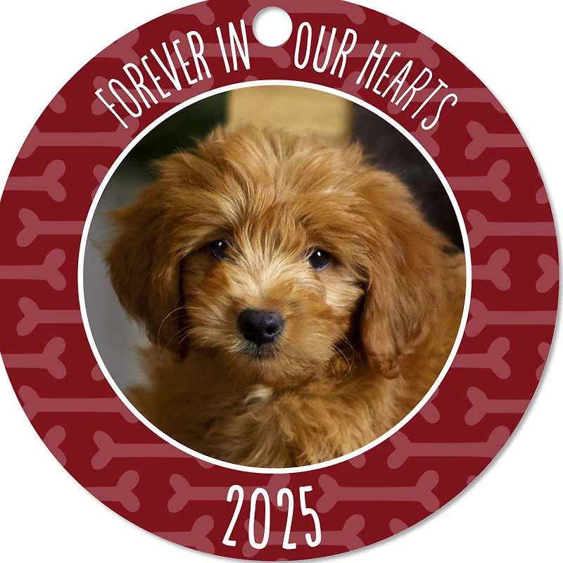 Pet Memorial Round Metal Personalized Ornament, Custom Photo and Text for only USD 17.99 | Hallmark
