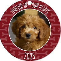 Pet Memorial Round Metal Personalized Ornament, Custom Photo and Text for only USD 17.99 | Hallmark