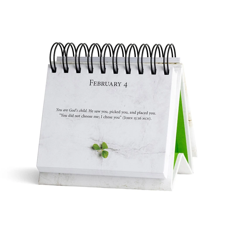 Max Lucado You'll Get Through This 365-Day Perpetual Calendar for only USD 11.99 | Hallmark