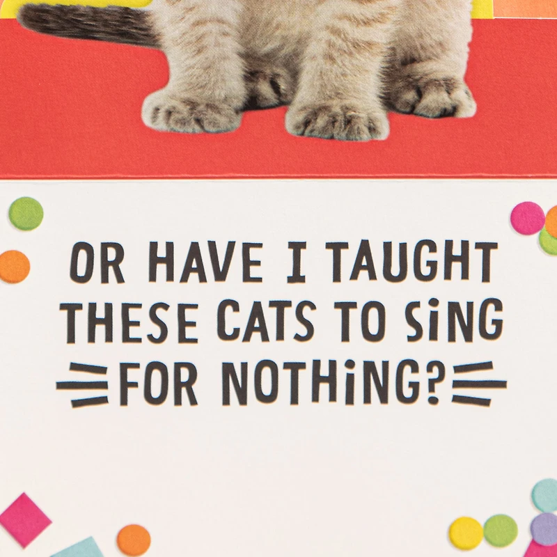 Singing Cats Funny Musical Pop-Up Birthday Card for only USD 7.59 | Hallmark