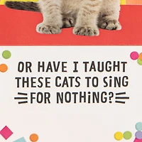 Singing Cats Funny Musical Pop-Up Birthday Card for only USD 7.59 | Hallmark