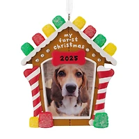 My Fur-st Christmas 2025 Photo Frame Hallmark Ornament for only USD 14.99 | Hallmark