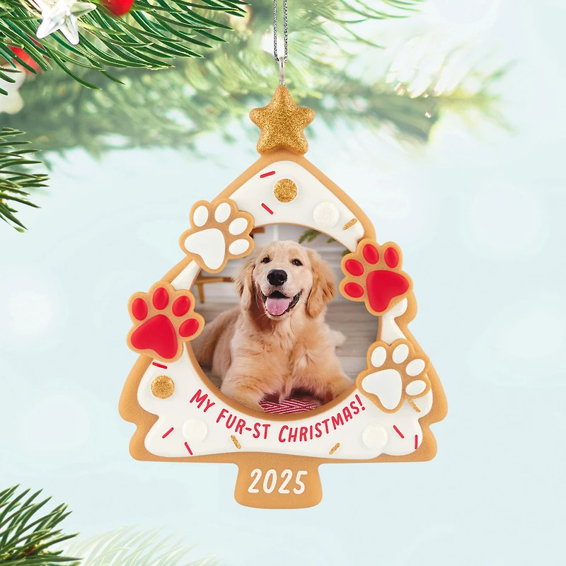 My Fur-st Christmas 2025 Photo Frame Ornament for only USD 19.99 | Hallmark