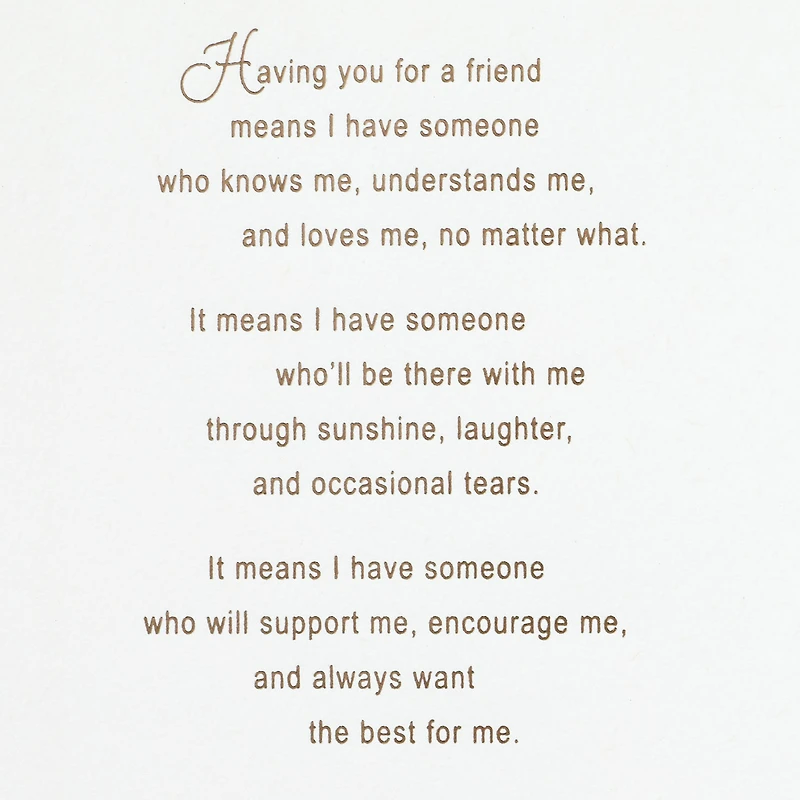 A Friend Like You Means So Much Birthday Card for Friend for only USD 8.59 | Hallmark