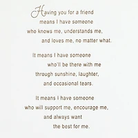 A Friend Like You Means So Much Birthday Card for Friend for only USD 8.59 | Hallmark