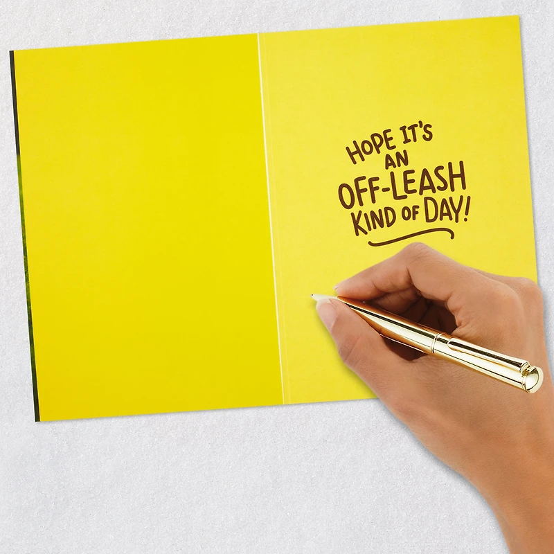 Have an Off-Leash Kind of Day Funny Birthday Card for only USD 2.99 | Hallmark