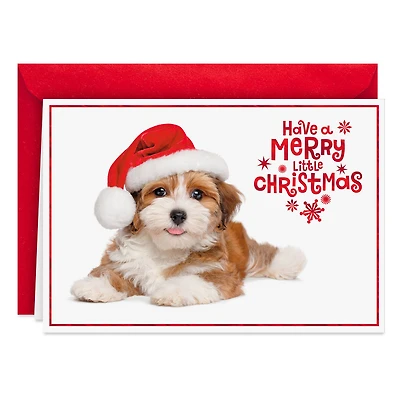 Warm Smiles Puppy Dog in Santa Hat Christmas Card for only USD 0.99 | Hallmark