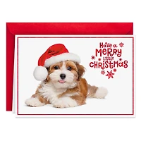 Warm Smiles Puppy Dog in Santa Hat Christmas Card for only USD 0.99 | Hallmark