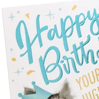 Today You're Royalty Birthday Card from Cat for only USD 4.59 | Hallmark