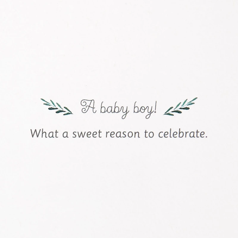 Sweet Reason to Celebrate New Baby Boy Card for only USD 8.59 | Hallmark