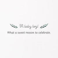 Sweet Reason to Celebrate New Baby Boy Card for only USD 8.59 | Hallmark
