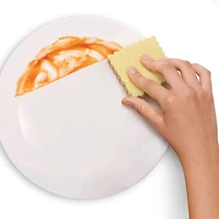 Fred Spongioli Novelty Kitchen Sponges, Set of 6 for only USD 9.99 | Hallmark