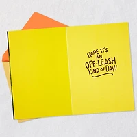 Have an Off-Leash Kind of Day Funny Birthday Card for only USD 3.99 | Hallmark