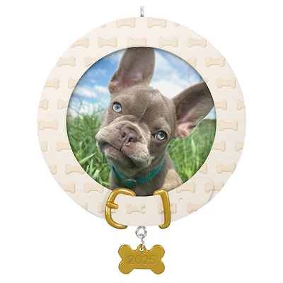 Faithful Friend 2025 Personalized Ornament, Custom Photo for only USD 24.99 | Hallmark