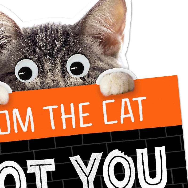 Mice Treats Funny Halloween Card from Cat for only USD 2.99 | Hallmark