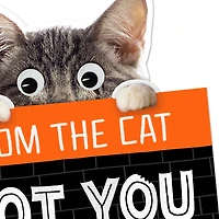 Mice Treats Funny Halloween Card from Cat for only USD 2.99 | Hallmark