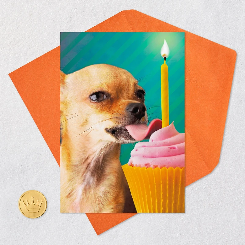 Lick All the Cupcakes Funny Birthday Card for only USD 3.99 | Hallmark
