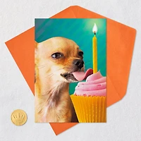 Lick All the Cupcakes Funny Birthday Card for only USD 3.99 | Hallmark