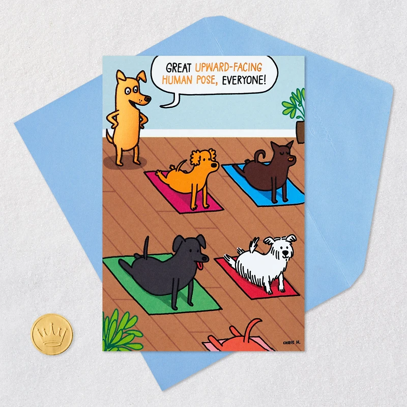 Dogs Doing Yoga Poses Funny Birthday Card for only USD 4.49 | Hallmark