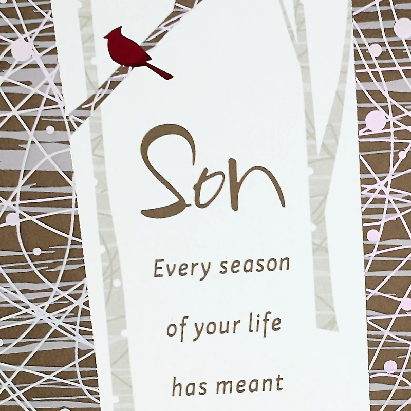 You Brighten the World Christmas Card for Son for only USD 5.59 | Hallmark