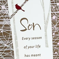 You Brighten the World Christmas Card for Son for only USD 5.59 | Hallmark
