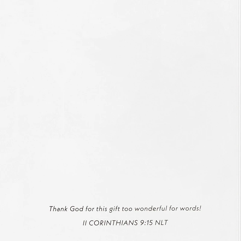 DaySpring Wintry Night With Cardinals and Church Boxed Christmas Cards, Pack of 16 for only USD 12.49 | Hallmark