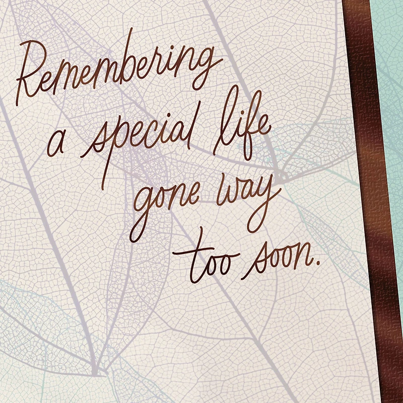 Remembering a Special Life Gone Too Soon Sympathy Card for only USD 3.99 | Hallmark