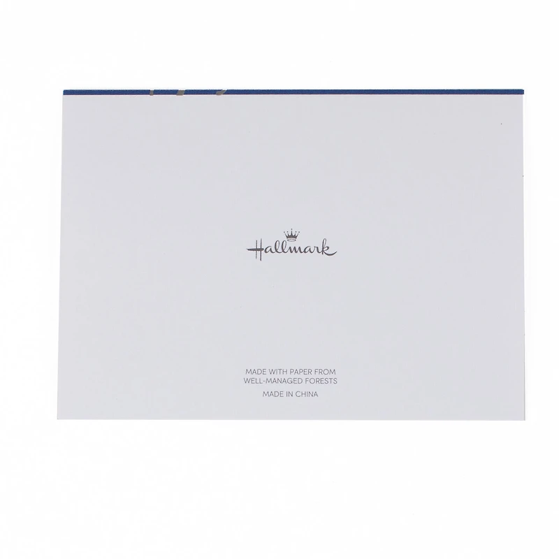 Silver Script on Blue Blank Thank-You Notes, Box of 40 for only USD 9.99 | Hallmark