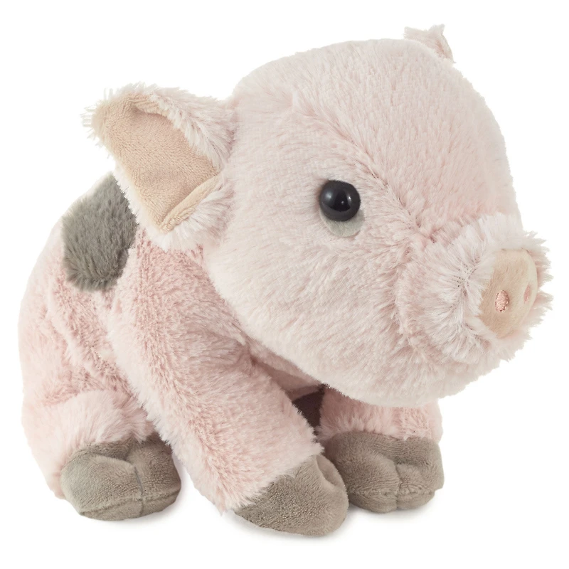 Baby Pig Stuffed Animal, 6" for only USD 19.99 | Hallmark