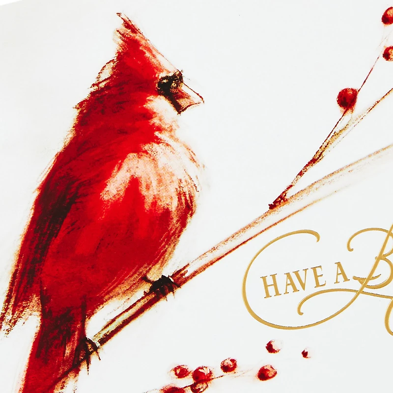 Cardinal on Branch Boxed Christmas Cards, Pack of 40 for only USD 15.49 | Hallmark