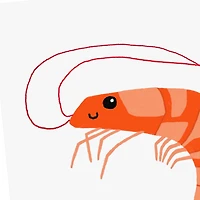 Shrimply Amazing Funny Blank Thank-You Card for only USD 3.99 | Hallmark