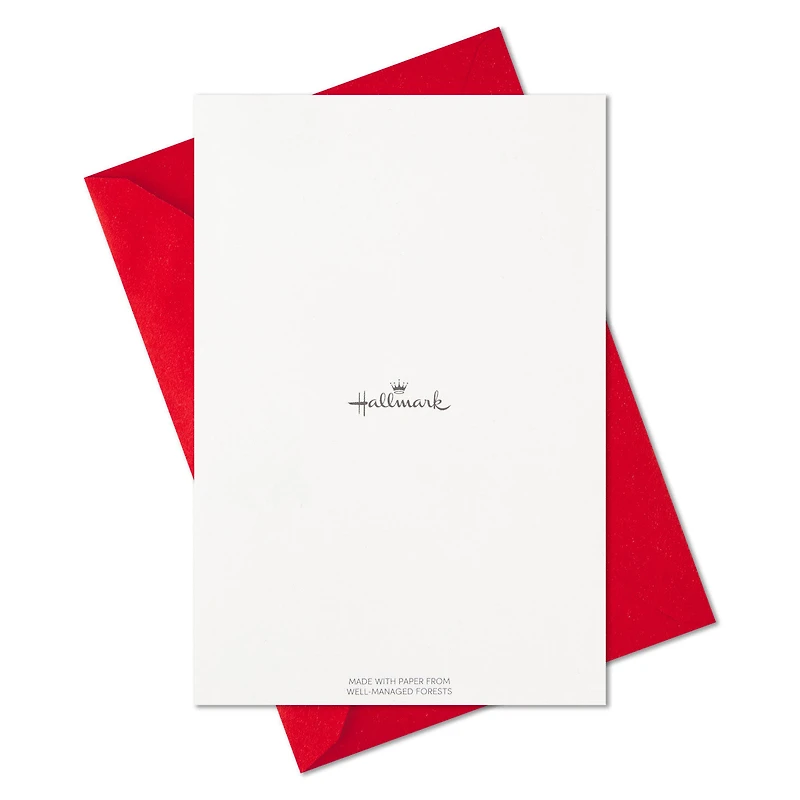 Whimsical Assortment Boxed Christmas Cards, Pack of 24 for only USD 14.99 | Hallmark