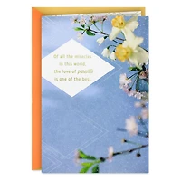 Your Love Is the Best Miracle Easter Card for Parents for only USD 4.99 | Hallmark