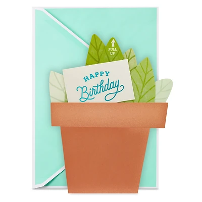 Potted Plant Paper Craft Birthday Card with Mini Card for only USD 5.99 | Hallmark