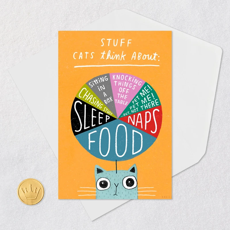 Stuff Cats Think About Pie Chart Funny Blank Card for only USD 3.99 | Hallmark