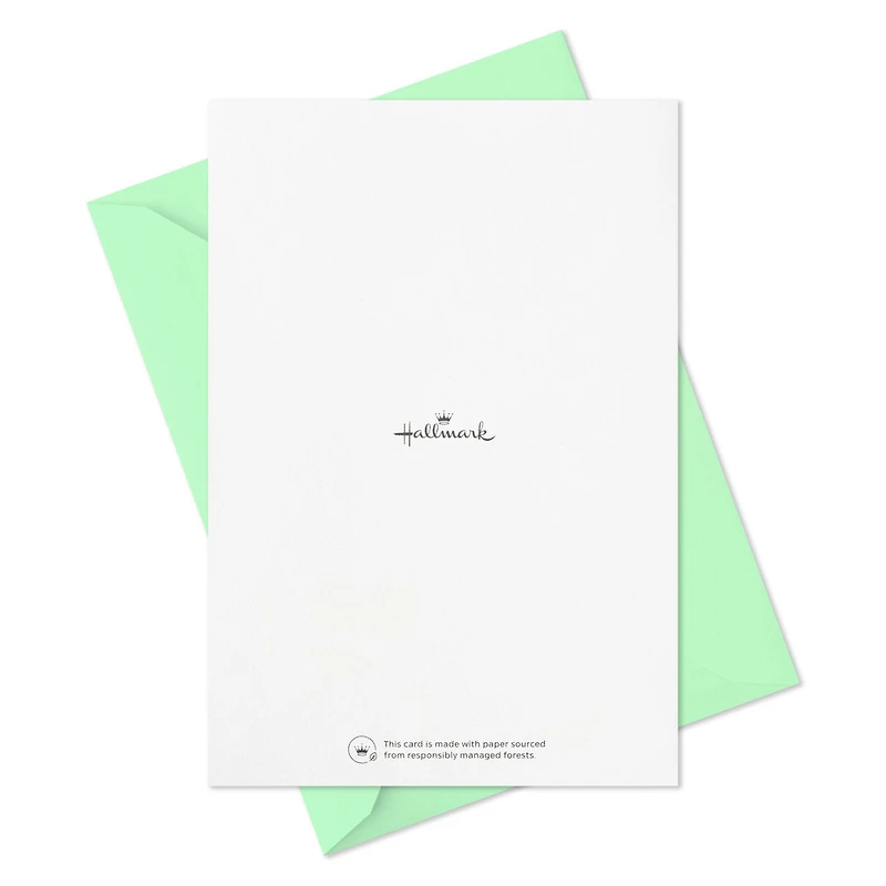 Blue Windowpane Blank Note Cards, Pack of 5 for only USD 5.00 | Hallmark