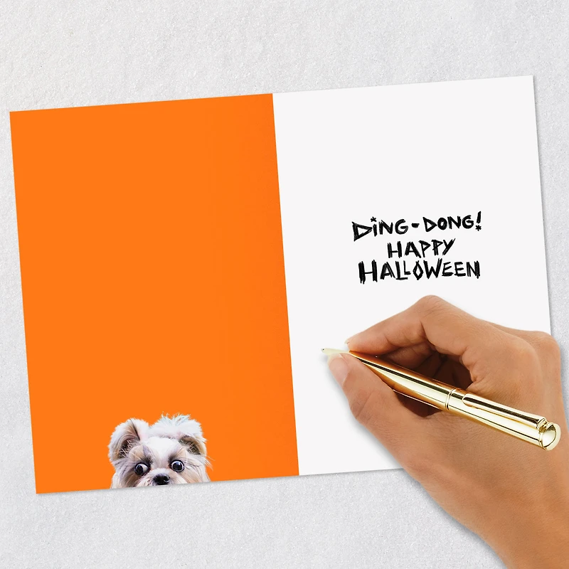 Dog and Doorbell Frenzy Funny Halloween Card for only USD 3.69 | Hallmark