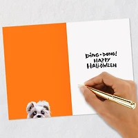 Dog and Doorbell Frenzy Funny Halloween Card for only USD 3.69 | Hallmark
